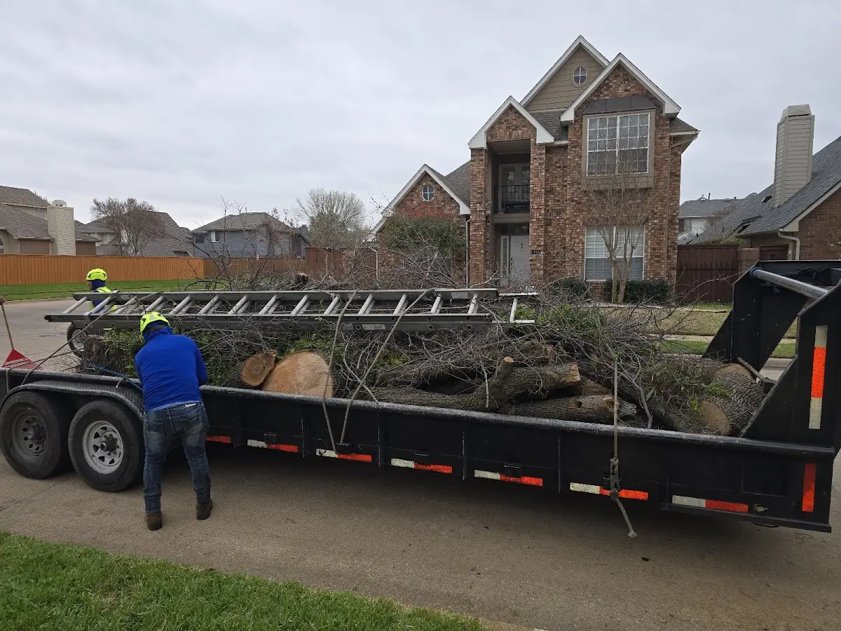 Expert Tree Removal with proper safety equipment in Kenvil